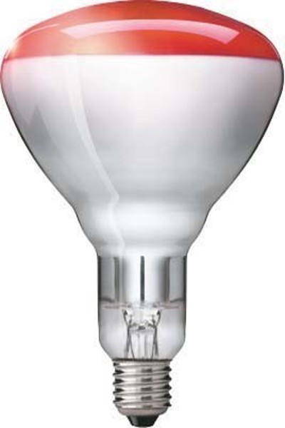 Lampe Philips BR125 E27 150W