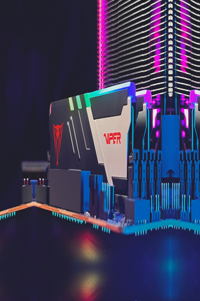 PATRIOT Memory Viper Venom , 64 GB, 2 x 32 GB, DDR5, 288-pin DIMM, Black, White - PVVR532G600C30K