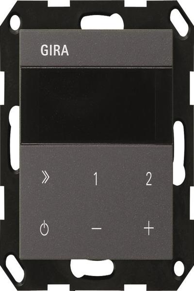 Radio GIRA UP 232028 IP System 55 anthracite