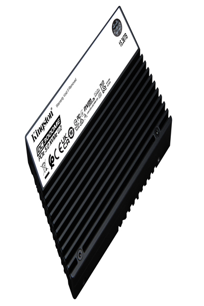 Kingston DC3000ME - SSD - Enterprise