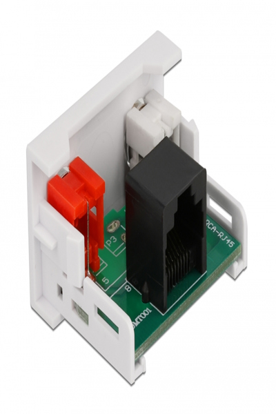 Delock Easy 45 - snap-in modules - 81341