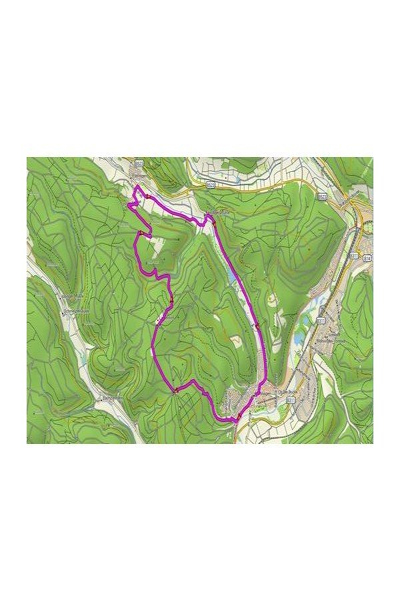 Garmin TOPO Germany v9 PRO Road Map MicroSD/SD - 010-11288-07