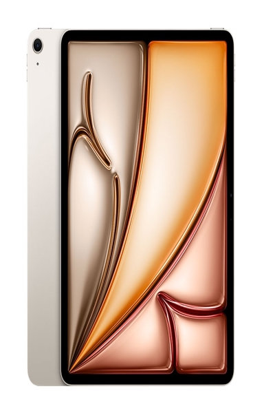 iPad Air 13 pouces Wi-Fi + Cellular