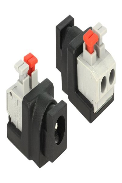 Delock Power adapter - 2 pin terminal block (F) to DC jack 5.5 x 2.1 mm (F) - 65524