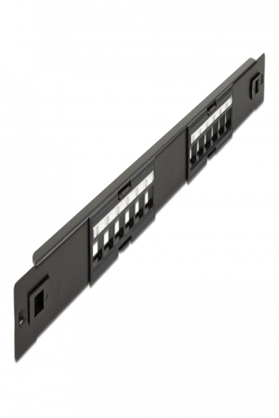 Delock Patch panel (blank) - rack mountable - 66821
