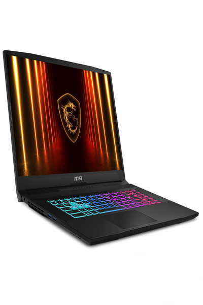MSI KATANA 17 HX B14WFK I7-14650HX NOTEBOOK - KATANA 17 HX B14WFK-212NL