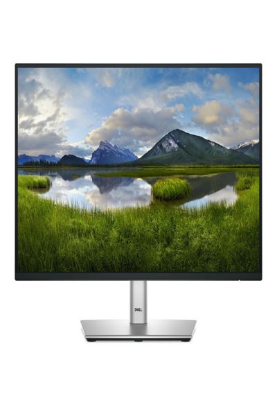 Dell P2225H 21.5" LED Monitor - P2225H