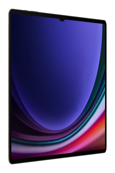 Samsung Galaxy Tab S9 Ultra - Tablet - SM-X916BZAAEUB