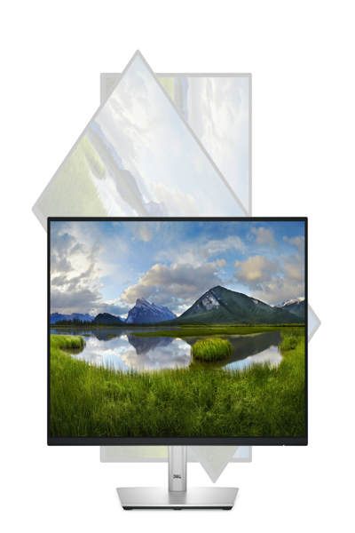 Dell P2225H 21.5" LED Monitor - P2225H