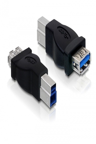 Adaptateur USB Delock - USB Type B (M) vers USB Type A (F)