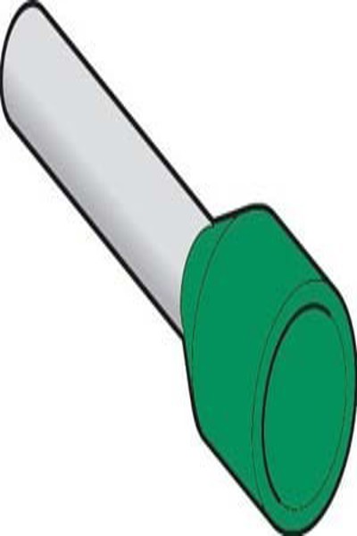 Schneider DZ5CE003, embout de câble conforme à la norme NF 0