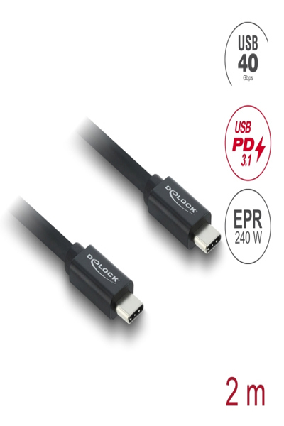 Delock Coaxial USB 40 Gbps Cable PD 3.1 240 W - Cable - Digital - 81707