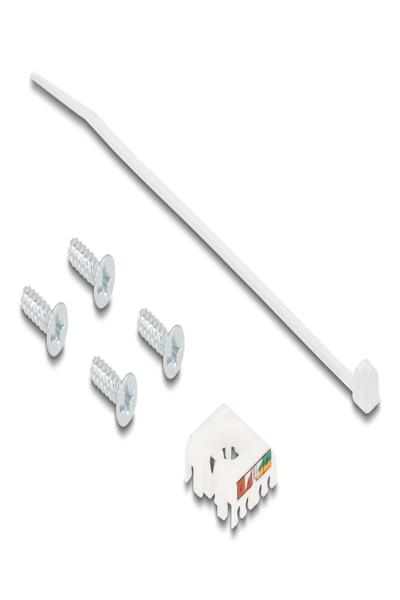 Delock Modular facility plate snap-in - 67064