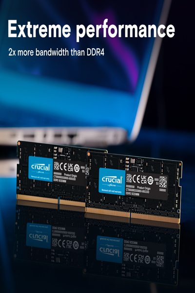 Crucial DDR5 - Kit - 128 Go - DDR5