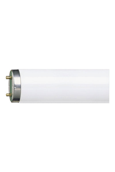 Philips 63195440 Tube lumineux G13 T8 36W