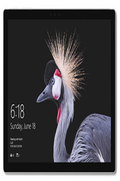 Microsoft Surface Pro-surfplatta - GWP-00003