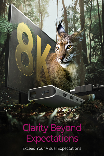 ICY BOX IB-DK4061-CPD USB-C 12-portars dockningsstation - IB-DK4061-CPD