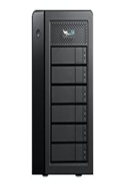 Promise Hard drive - 10 TB - internal