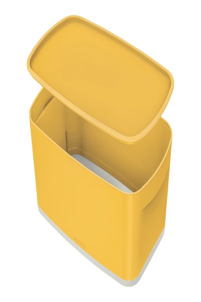 52630019