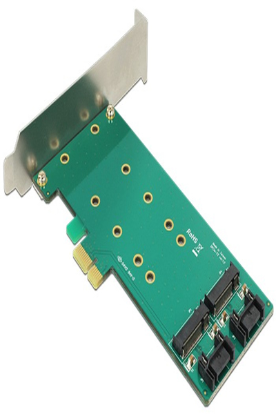 Delock PCI Express-kort > 2 x intern M.2 - 89473