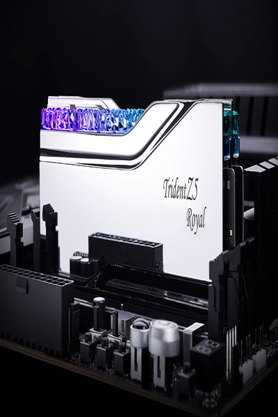 F5-8200J4052F24GX2-TR5S - F5-8200J4052F24GX2-TR5S