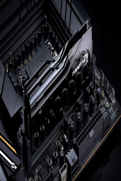 F5-8200C4052G24GX2-TZ5CK