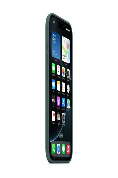 Coque arrière Apple pour téléphone portable