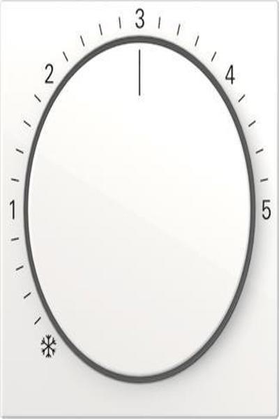 270603