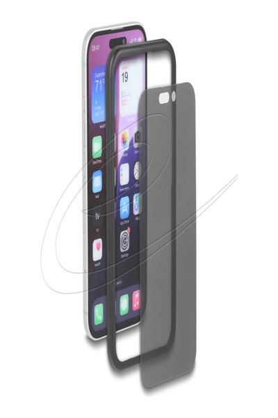 Delock Screen Protector iPhone 16 Privacy Tempered Glass Anti Spy - 81281