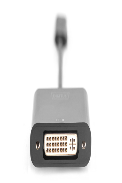 DIGITUS-adapter - 24-pins USB-C (hane) till DVI-I (hona) - DA-70829