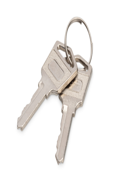 DIGITUS Laddskåpsnyckel - DN-45000-KEY