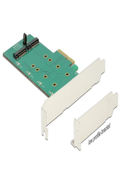 Delock PCI Express-kort > 2 x interna M.2-nyckel B med RAID - 89536