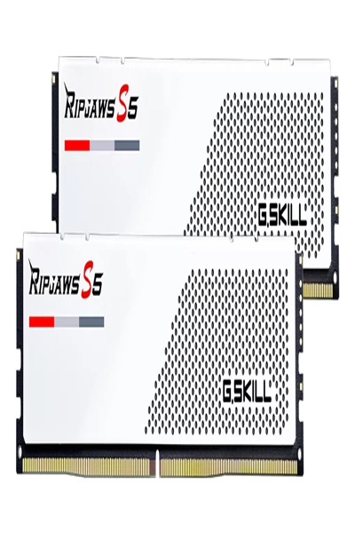 F5-6000J3644F16GX2-RS5W