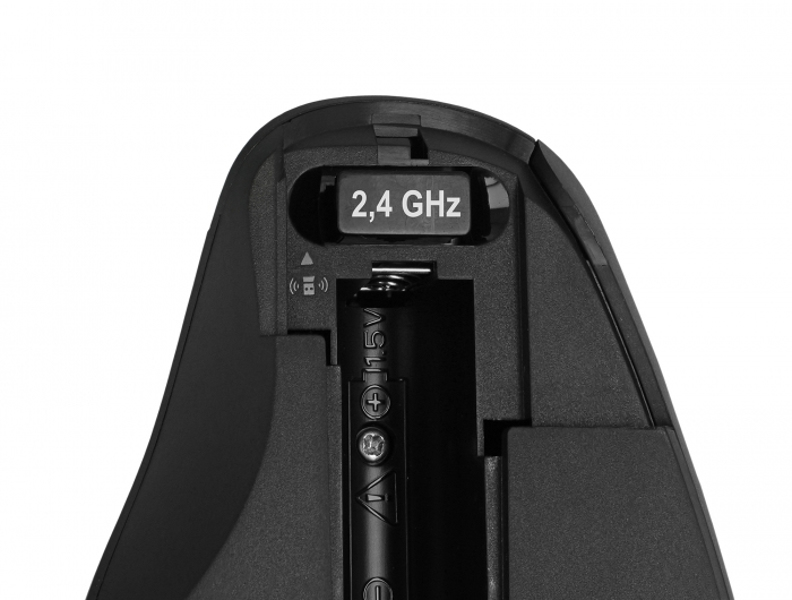 MOUSE ergonomic optical 5-button 2.4 GHz wireless - 12598