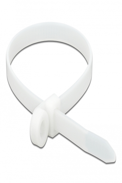 Collier de serrage Delock avec œillet de fixation