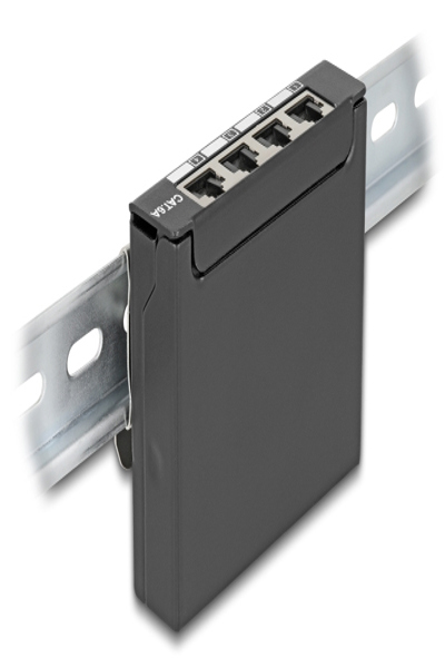 Delock Patch Panel Mini DIN Rail Wall Mountable Desktop - 90378