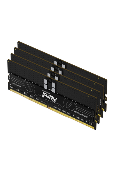 Kingston FURY Renegade Pro - DDR5 - KF556R28RBEK4-64