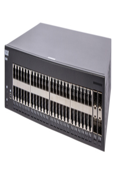 Ruckus ICX8100-48 hanterad 1U-switch - ICX8100-48