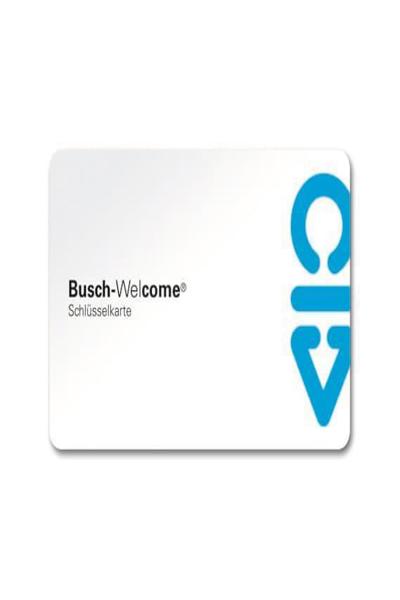 BUSCH JAEGER 83173 Accueil Accessoires Carte-clé