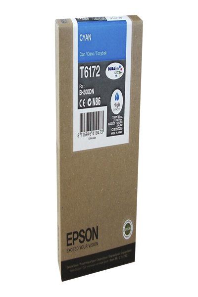 C13T617200