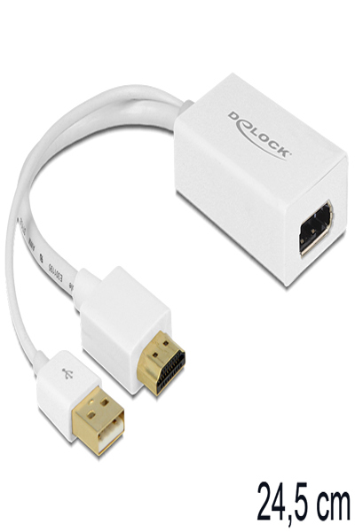 Convertisseur vidéo Delock - HDMI, DisplayPort