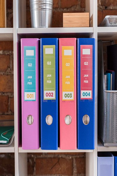 Brother CZ-1004 - Roll (2.54 cm x 5 m) 1 roll(s) continuous labels - CZ1004