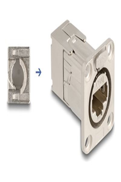 Delock Modular facility plate snap-in - 67064