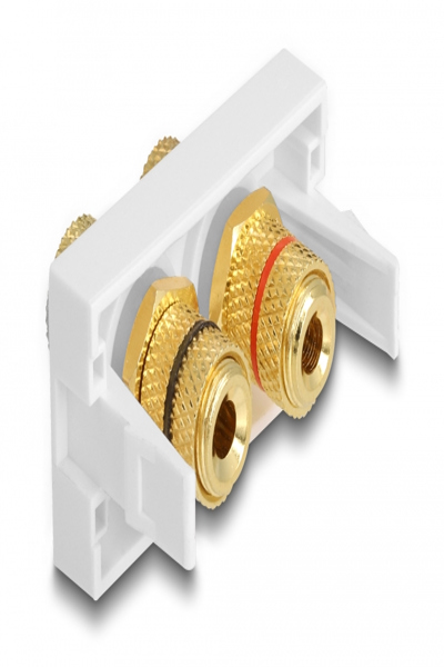Delock Easy 45 - snap-in-moduler - 81398