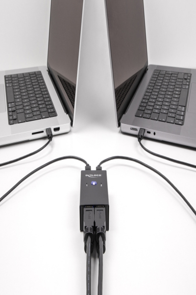 Delock USB-switch - 2 datorer till 4 enheter - 11505