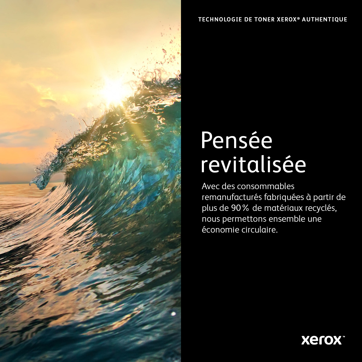 Xerox 113R00779 Tambour noir 80 000 pages