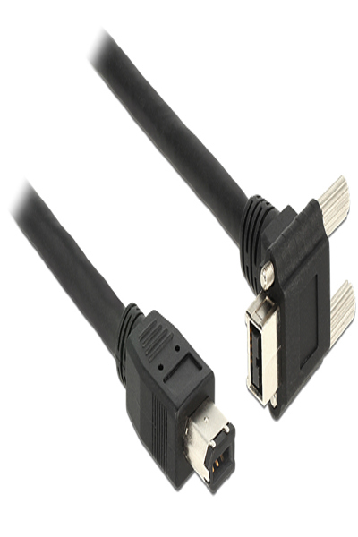 Delock Datakabel - Firewire IEEE1394 (i.LINK) - 83589