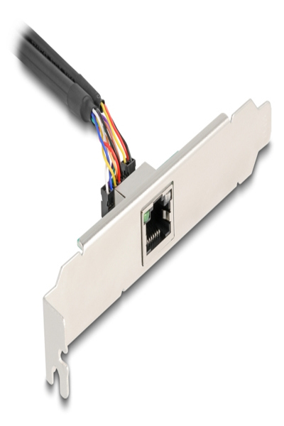 Delock 95268 Mini PCI Express to RJ-45 0.25m - 95268