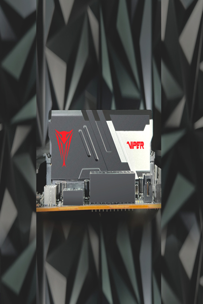 PATRIOT-minne Viper Venom, 64 GB, 2 x 32 GB, DDR5, 288-pins DIMM, svart, vit - PVVR564G600C30K