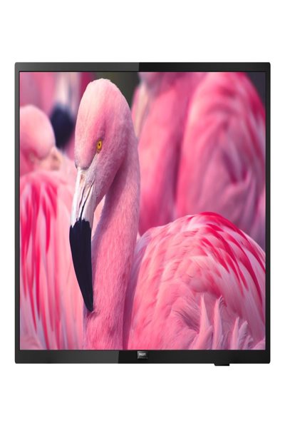 Philips 43HFL4014/12 Téléviseur LED FHD 43"